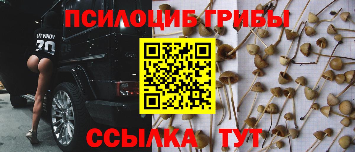 Псилоцибиновые грибы Magic Shrooms  Вход с VPN  Красногорск 